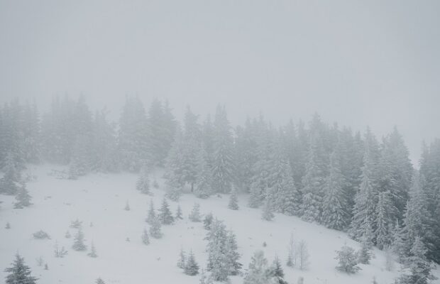 Alertă meteo de viscol! Ce zone intră sub COD GALBEN de vânt puternic - HARTA/ANM, prognoză specială pentru București