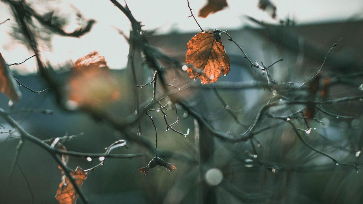 Meteo, 9 februarie. Vremea se încălzește ușor în București