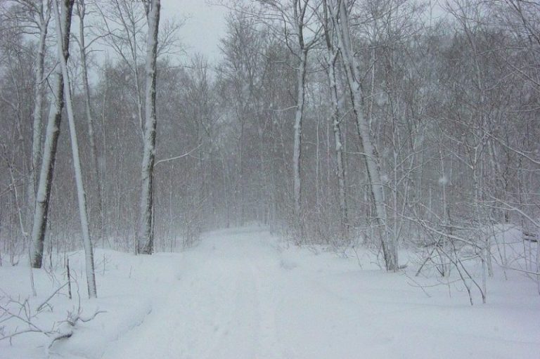 Meteo, 7 februarie. Cum va fi vremea în prima zi a săptămânii. Temperatura maximă în Capitală