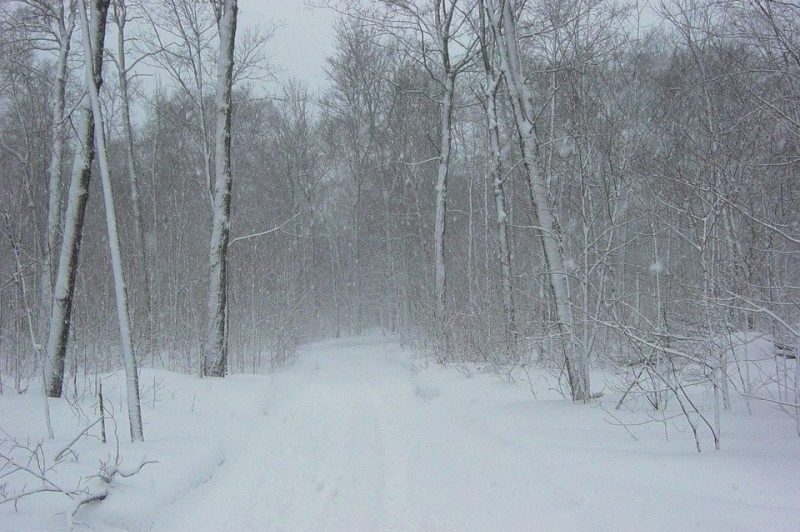 Meteo, 7 februarie. Cum va fi vremea în prima zi a săptămânii. Temperatura maximă în Capitală