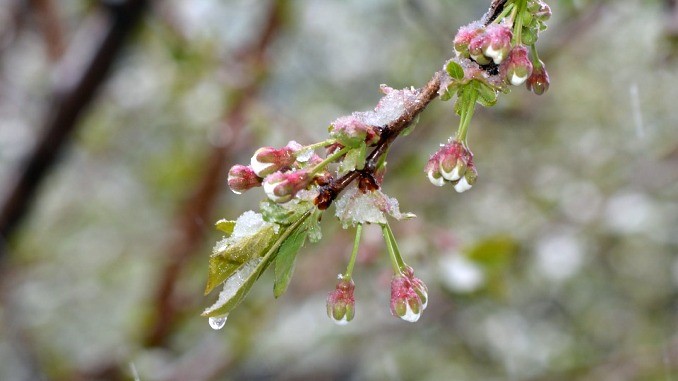 Meteo, 31 martie. Cum va fi vremea joi: apar ploile. La ce valori vor ajunge temperaturile