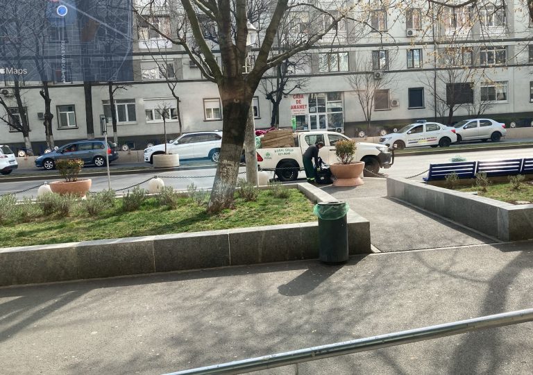 Deșeuri medicale, aruncate la colț de bloc, în sectorul 4! Primarul a decis sesizarea Colegiului Farmaciștilor și ANPC – FOTO