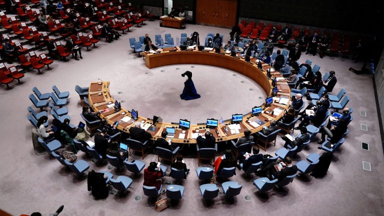 Arme biologice în Ucraina: Moscova și Kievul se acuză reciproc/Scandal în Consiliul de Securitate al ONU