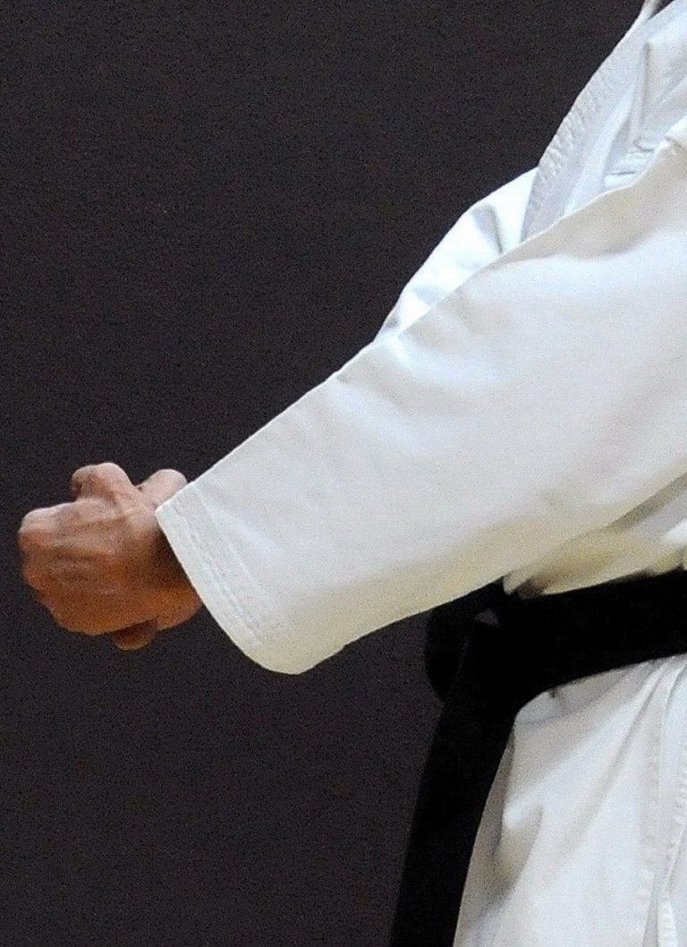 Ucraina primeste ajutor. 70 de japonezi, gata să declare război Rusiei!