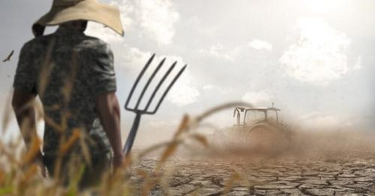 RĂZBOI ÎN UCRAINA. ONU acuză Rusia că va declanșa foamete pe tot globul