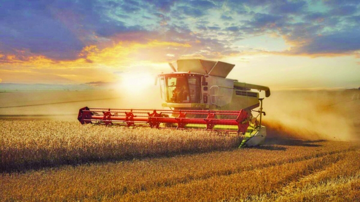 Trei salve de tun lovesc sistemul alimentar global