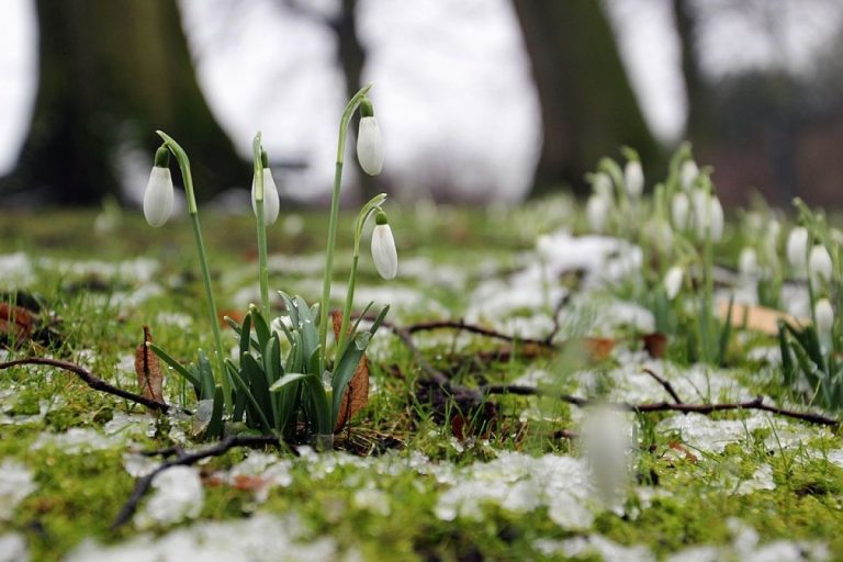 Meteo, 14 martie. Ce se întâmplă cu temperaturile în prima zi a săptămânii