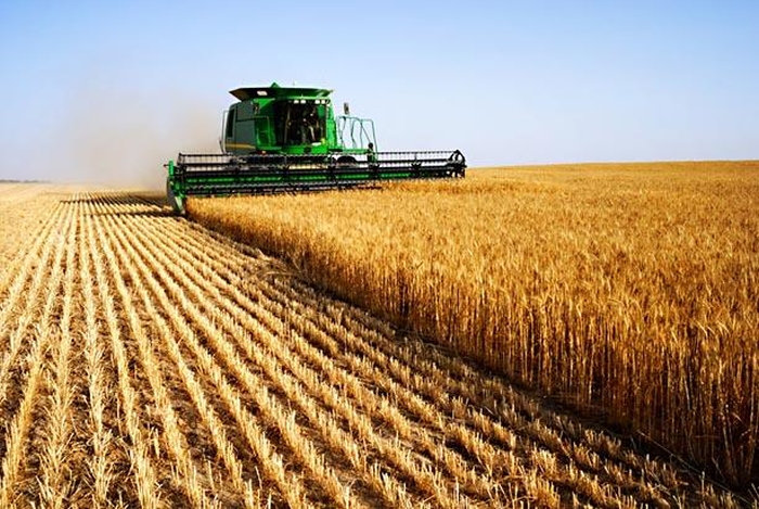 Lovitură pentru fondurile de investiții străine. Obligate să arendeze terenurile agricole pe 10 ani