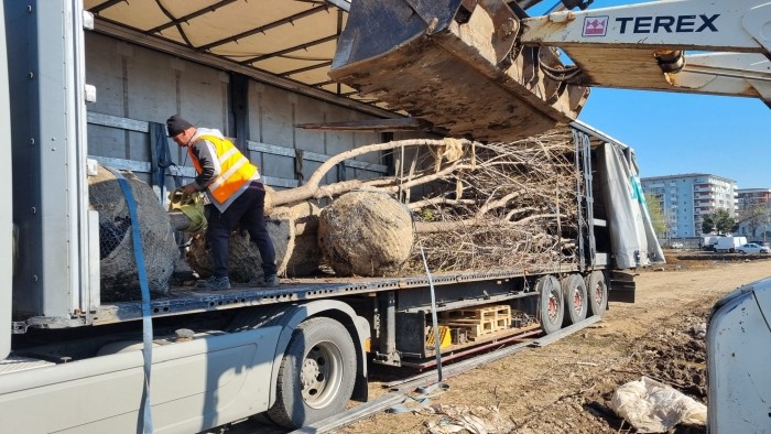 Totul Verde.a  început să dea contur viitorului parc Tudor Arghezi