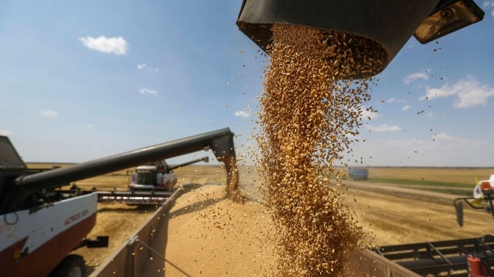 „Efectul Ucraina”. Prețurile mondiale la alimente bat record după record
