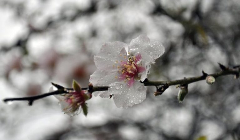 Meteo, 19 aprilie. Temperaturile rămân scăzute în mare parte din țară/Cum va fi vremea, marți, în Capitală