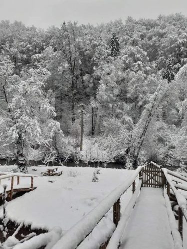 ninge1 - Ziarul National