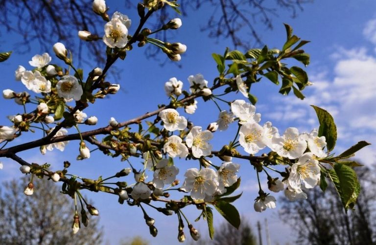 Prognoza meteo pentru luna aprilie. Vești despre vremea de Paște și de 1 mai/Ce a anunțat ANM!
