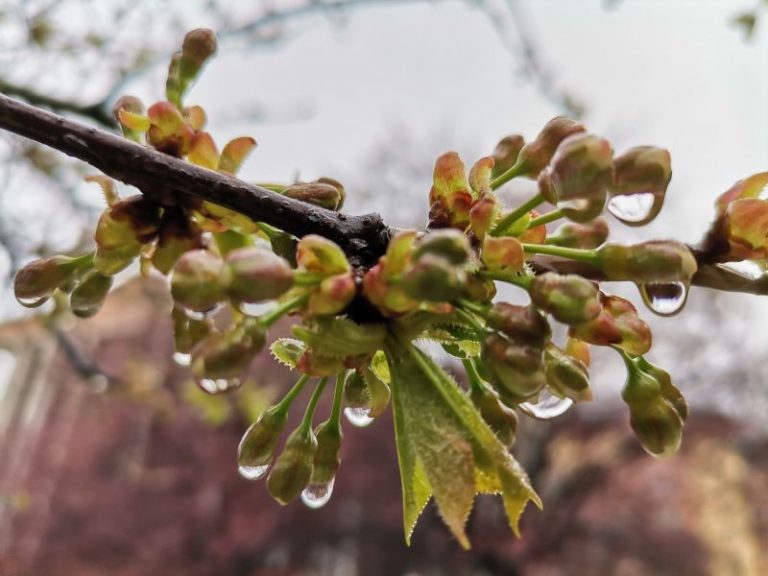 Meteo, 27 aprilie. Vreme în general instabilă. Cum vor fi, miercuri, temperaturile