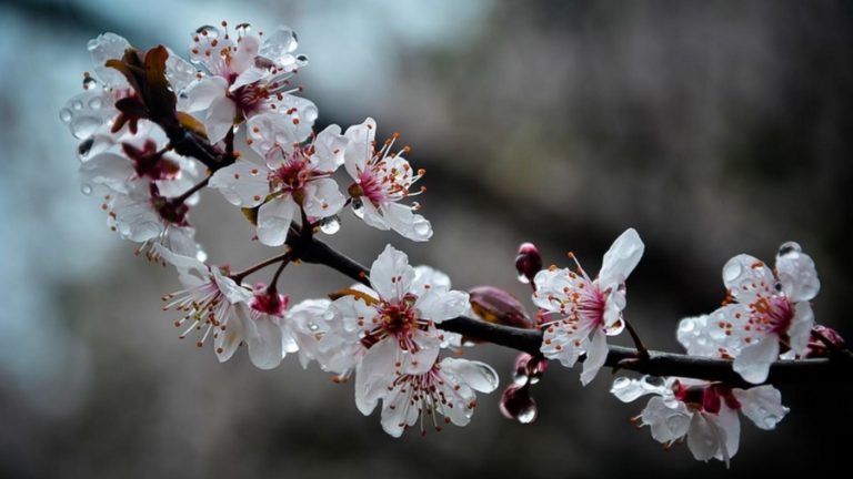 Meteo, 20 aprilie. Cum va fi vremea miercuri – la ce valori ajung temperaturile maxime