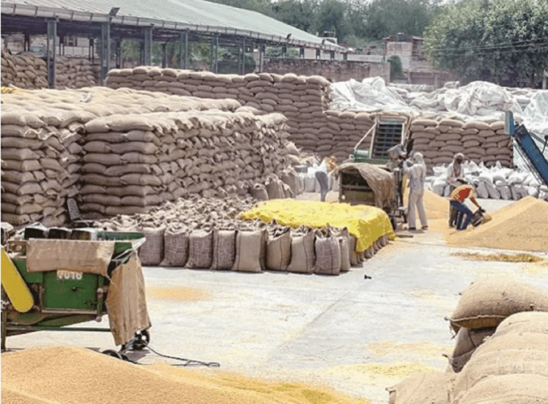 Criza alimentară, la orizont! Și India interzice exportul de făină!