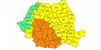 anm - Ziarul National