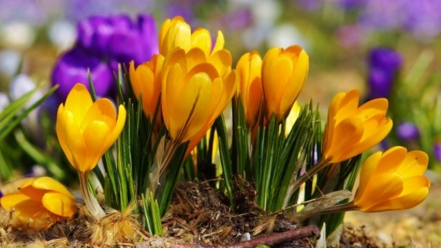 Meteo, 2 mai. Cum va fi vremea în prima zi a săptămânii – la ce valori ajung temperaturile maxime