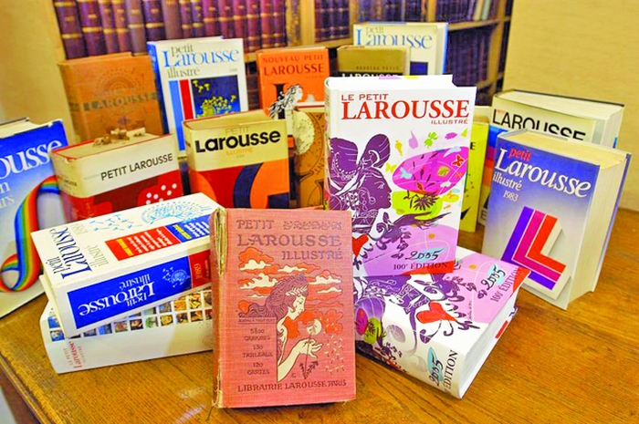 NFT, wokism, halloumi: noi cuvinte intră în celebrul dicționar Larousse