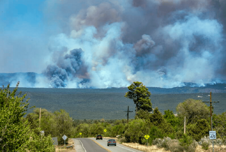 Cel mai mare incendiu din istoria statului New Mexico. Este INCREDIBIL cine a aprins focul – FOTO&VIDEO