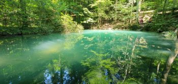 lac 1 - Ziarul National