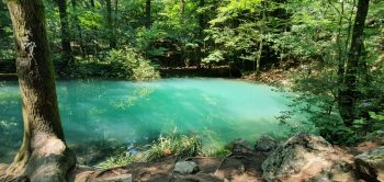 lac 3 - Ziarul National