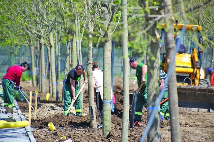 Parcul Tudor Arghezi începe să prindă viață