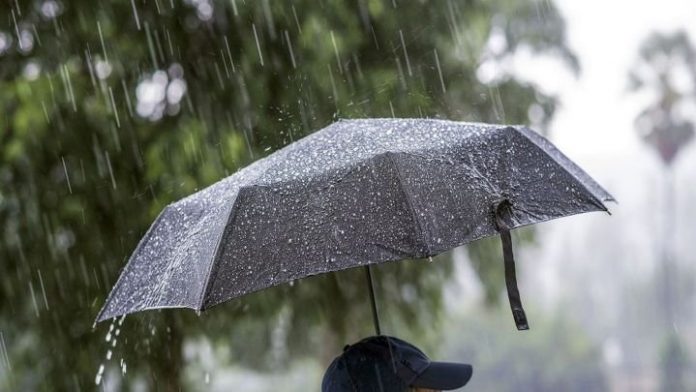 Memo Ray Removal Meteo, 10 iunie. Cum va fi vremea vineri. În ce zone ale țării se vor  semnala ploi și descărcări electrice | Ziarul National
