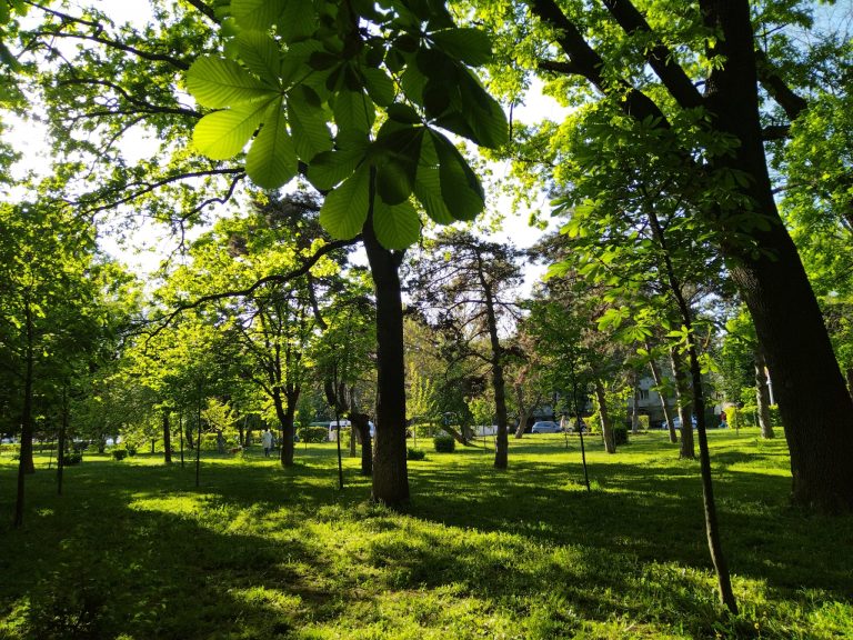 Meteo, 24 iunie. Vești despre vremea de vineri – cum vor fi temperaturile