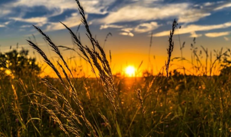Meteo, 7 iunie. Ce vești sunt despre vremea din a doua zi a săptămânii. Temperaturile maxime
