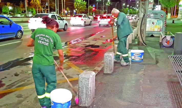Lunga vară fierbinte a celor de la Totul Verde., în sectorul 4