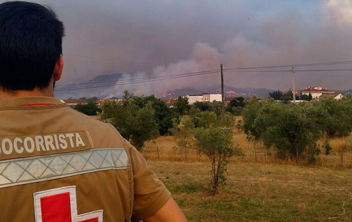 L’Europa, con i suoi vigneti di fronte all’ondata di caldo.  ‘Adattarsi ai cambiamenti climatici’, parole sulla carta