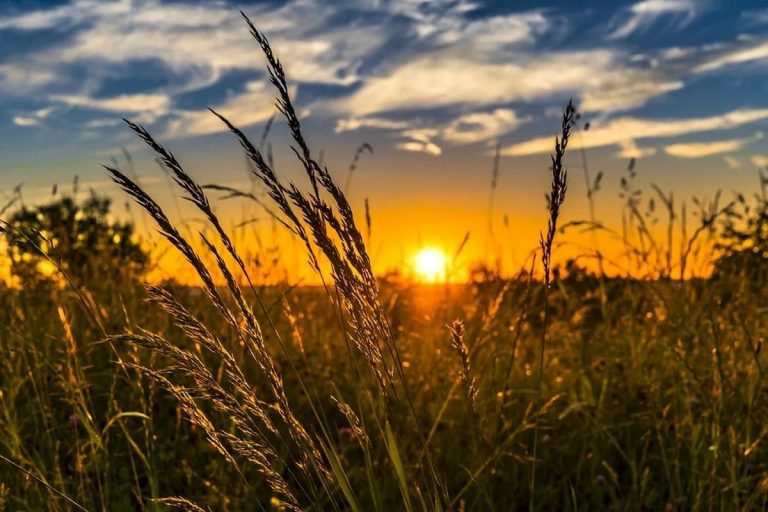 Meteo, 13 iulie. Cum va fi vremea în a treia zi a săptămânii. Unde va ploua