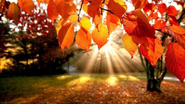 Meteo, 28 iulie. Cum va fi vremea în a patra zi a săptămânii. Temperatura maximă prognozată pentru Capitală