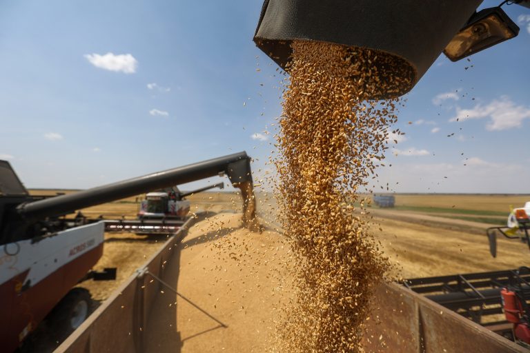 Criza alimentară. Războiul din Ucraina, combustibil pe un foc deja aprins