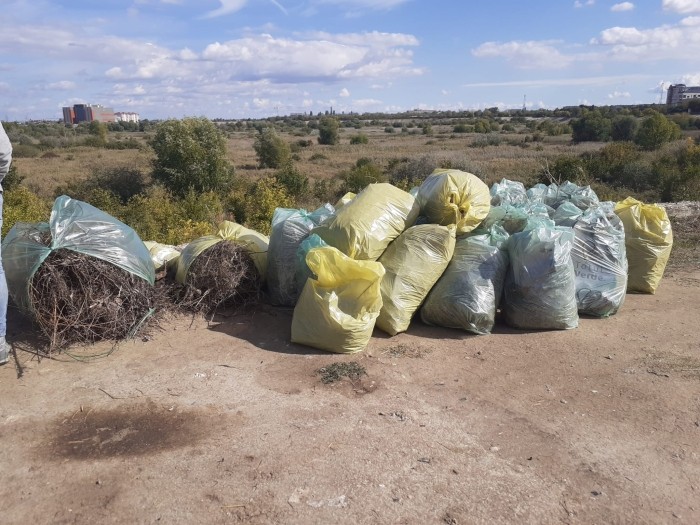 Totul Verde. a participat la o amplă acțiune de curățare  în Parcul Văcărești. Au fost adunate peste 105 tone de deșeuri