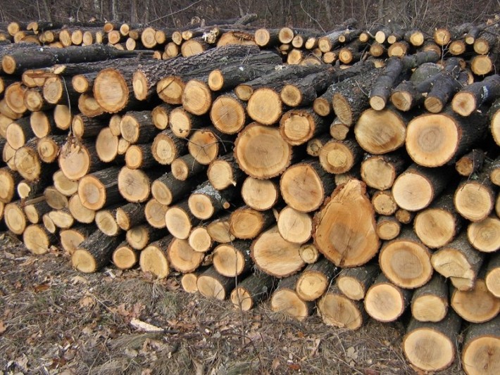 lemn