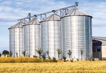 Ordonanța trădării naționale. Cum ne-au obligat americanii să ne distrugem agricultura - Ziarul National