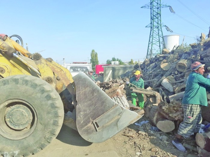 Primăria Sectorului 4 a început distribuirea materialului lemnos către familiile nevoiașe