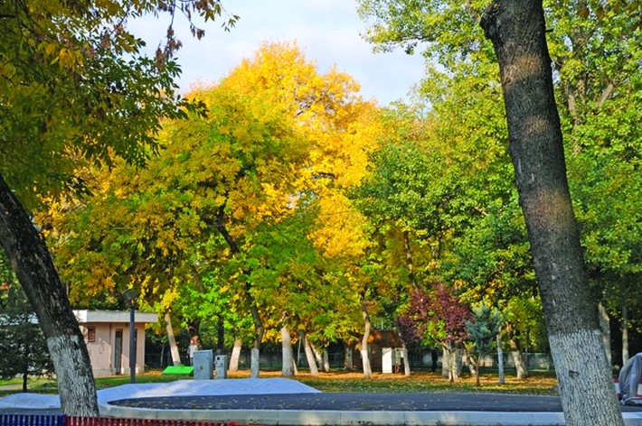 Bucureștiul are, de acum, un ghid pentru managementul spațiilor verzi