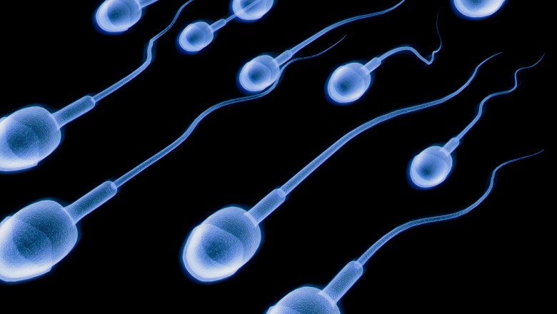 fertilitate