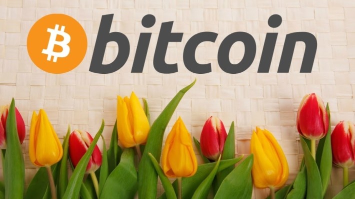 Lalele și bitcoin, o combinație perfectă