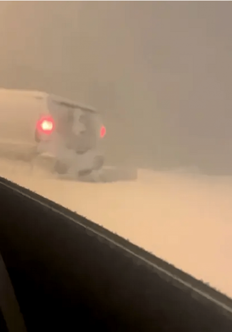 „Viscolul secolului” în SUA. O infirmieră de 22 de ani, găsită moartă în mașina sa. Ultimul video trimis de tânără