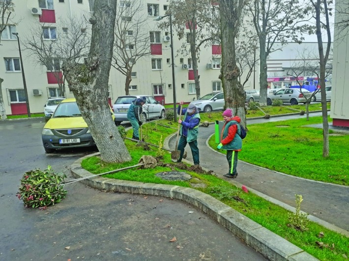 Copaci și spații verzi în zona Melinești, un loc transformat total