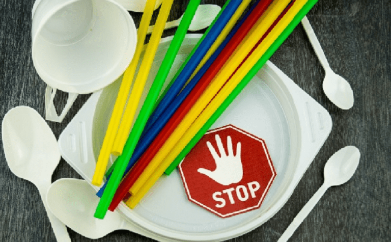 Gata cu vesela din plastic de unică folosință. Când va intra în vigoare interdicția