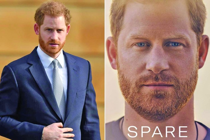 Cine îl va cuminți pe obraznicul prinț Harry?