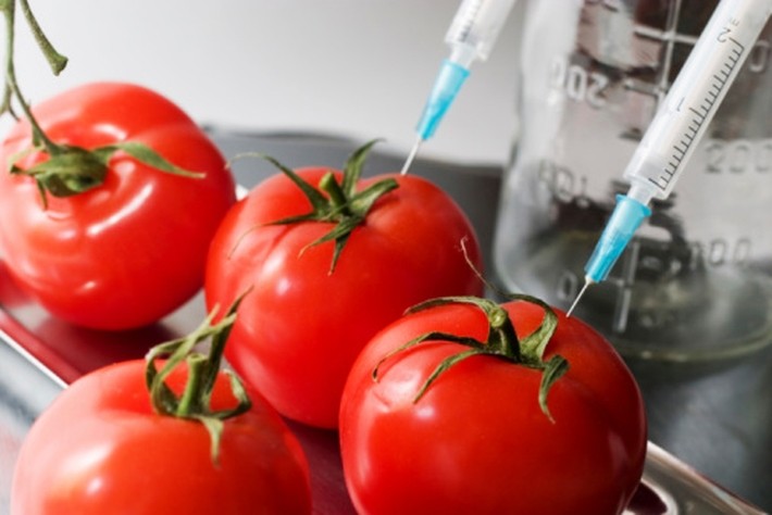 Următoarea frontieră a investițiilor: hrana modificată genetic