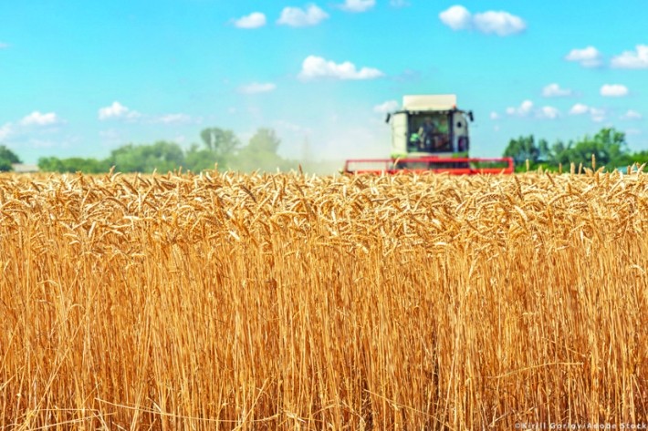 Securitatea alimentară globală, în mâinile Rusiei și Chinei