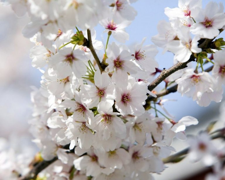 Prognoza meteo actualizată pentru Paște și 1 mai. Ce vești vin de la meteorologi