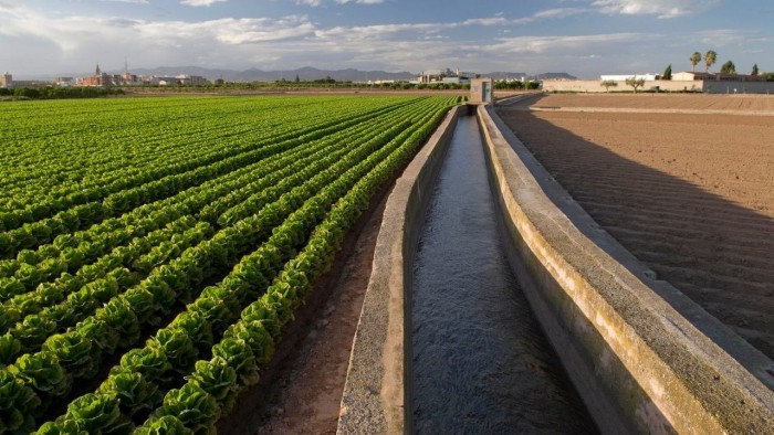 Grădina de legume a Europei, în centrul unui război al apei